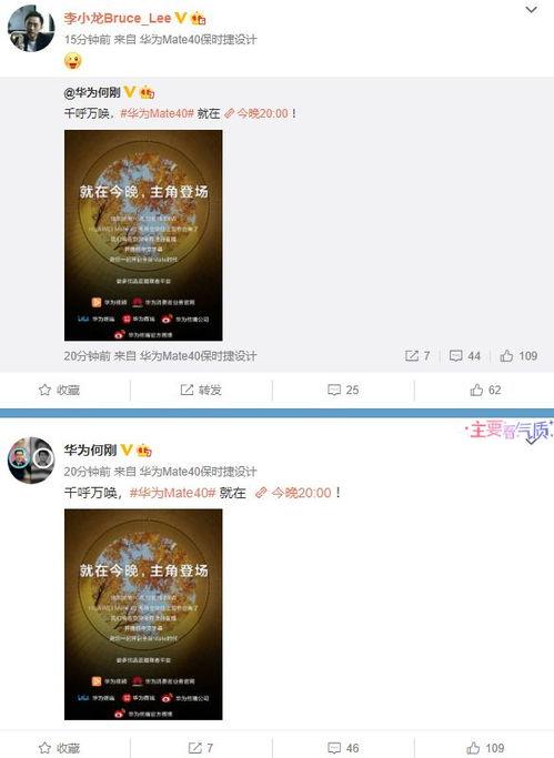 戈娅爆料视频大全最新版,精彩瞬间大盘点