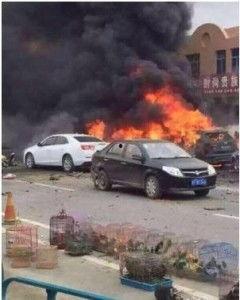 最新蓬莱爆料事件,揭秘神秘事件背后的真相与谜团