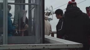 暴雪最新爆料视频下载