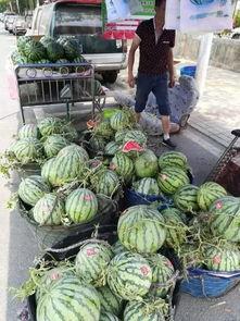 柳州最新吃瓜爆料事件,神秘事件背后真相揭晓！  第2张