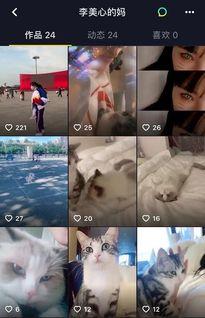 李小璐父母爆料视频最新,揭秘娱乐圈背后的真相  第2张