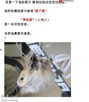 最新老鼠爆料视频播放网站,老鼠爆料带你探秘最新动态  第2张