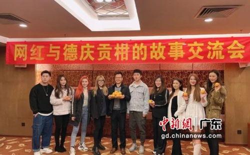 德庆最新爆料案件新闻,惊曝重大案件细节，真相即将揭晓！  第2张