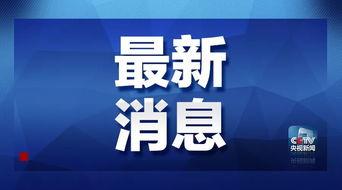 午间资讯爆料最新消息,最新资讯爆料，热点事件一网打尽  第2张