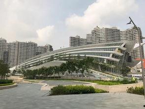 爆料香港高铁视频最新,速度与激情的完美融合  第2张